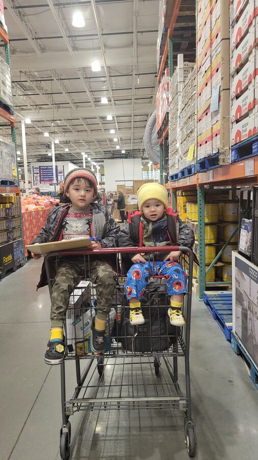 Elijah and his brother in a shopping cart